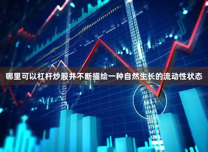 哪里可以杠杆炒股并不断描绘一种自然生长的流动性状态