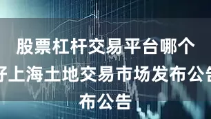 股票杠杆交易平台哪个好上海土地交易市场发布公告