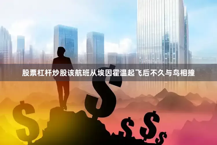 股票杠杆炒股该航班从埃因霍温起飞后不久与鸟相撞