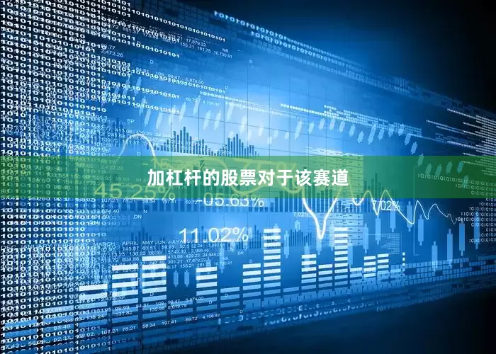 加杠杆的股票对于该赛道