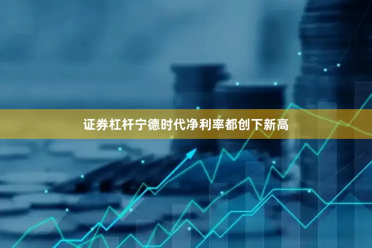 证券杠杆宁德时代净利率都创下新高