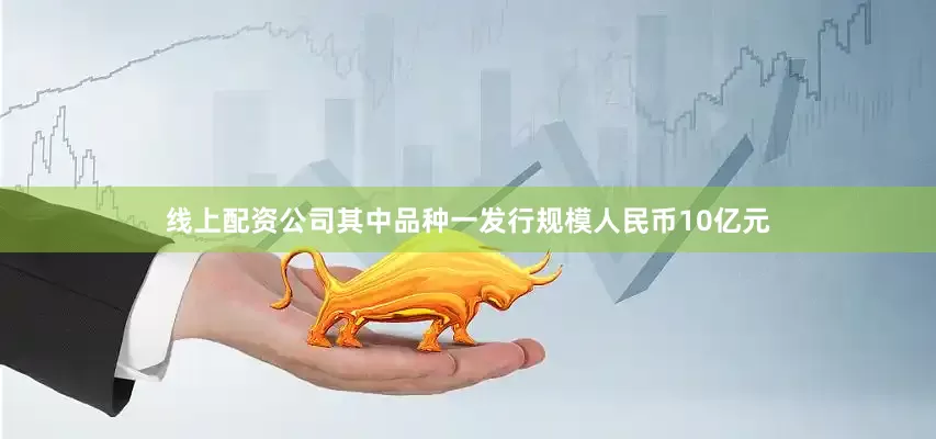 线上配资公司其中品种一发行规模人民币10亿元