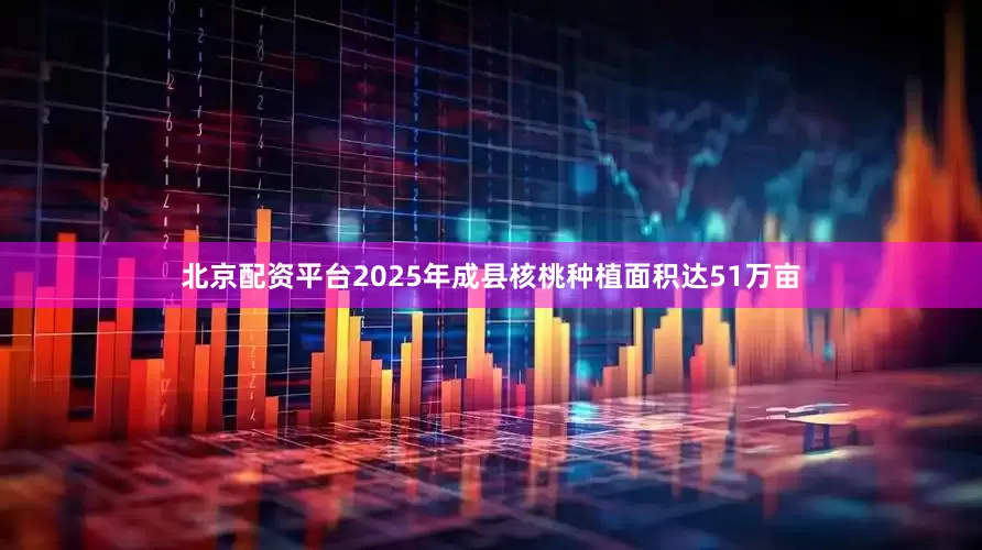 北京配资平台2025年成县核桃种植面积达51万亩