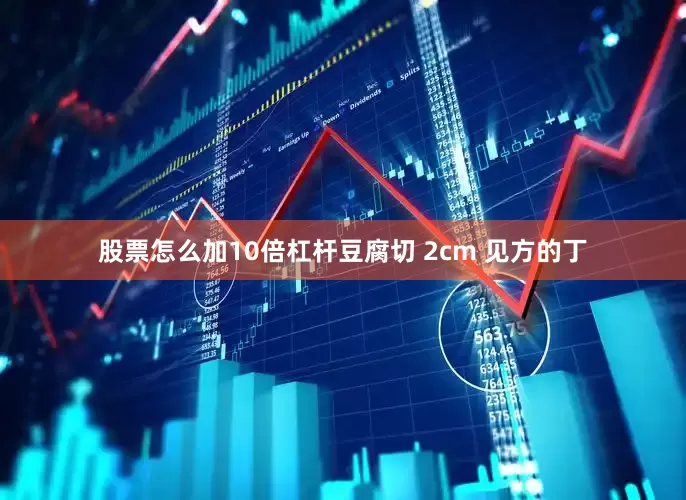 股票怎么加10倍杠杆豆腐切 2cm 见方的丁