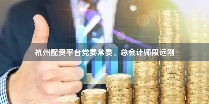 杭州配资平台党委常委、总会计师段远刚