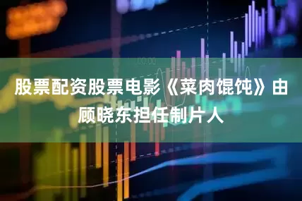 股票配资股票电影《菜肉馄饨》由顾晓东担任制片人